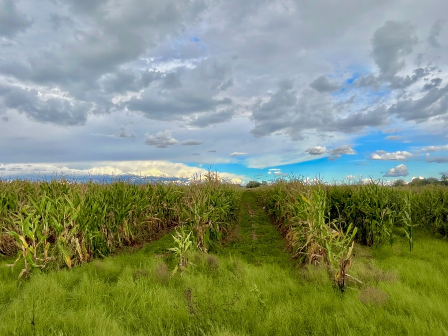 4 Bedroom Property for Sale in Bainsvlei Free State